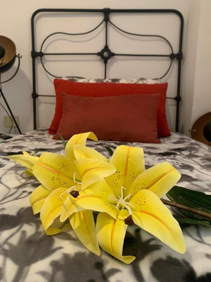 Dream Central Plaza Apartment Santa Cruz de Tenerife Luaran gambar
