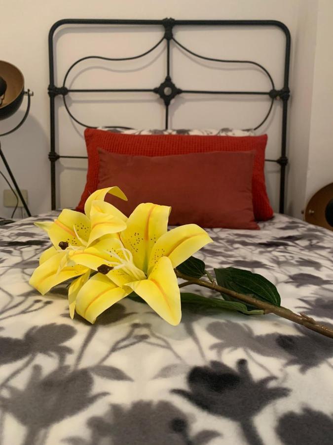 Dream Central Plaza Apartment Santa Cruz de Tenerife Luaran gambar